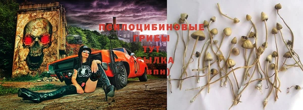 скорость Алексеевка