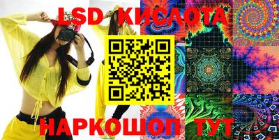 индика Кандалакша