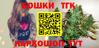 индика Кандалакша