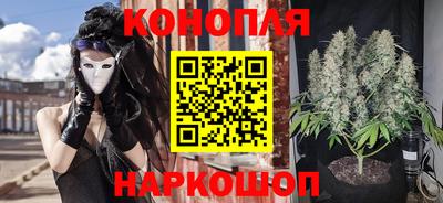 индика Кандалакша