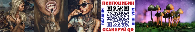 Галлюциногенные грибы Psilocybine cubensis  Минусинск 