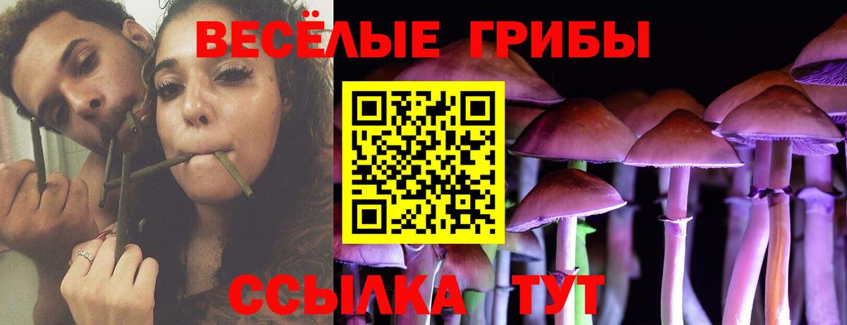 Псилоцибиновые грибы Psilocybe Минусинск
