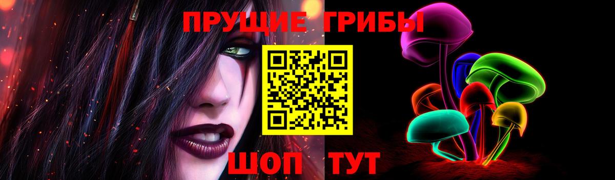 Галлюциногенные грибы прущие грибы  Галлюциногенные грибы Cubensis  Минусинск  где купить наркоту  Вход с VPN 